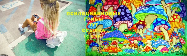 хмурый Абаза