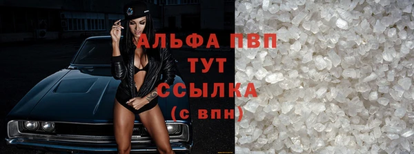apvp Алзамай
