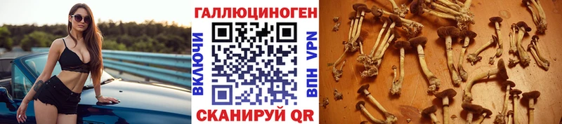 Псилоцибиновые грибы ЛСД  наркота  Железногорск-Илимский 